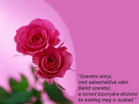 szeretni annyi