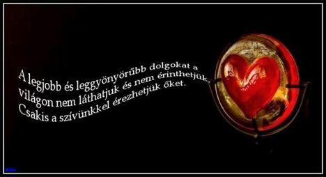 Szívvel érezni