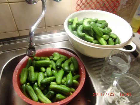 Uborka eltevés