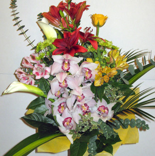 virag12119-14