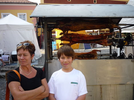 2009.Vonyarc,Őrség,Dinopark,50.szülinap