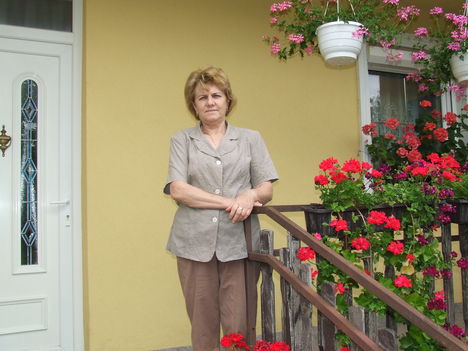 2011 3