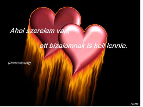 aholszerelemvanmz0
