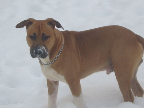 Argo :)