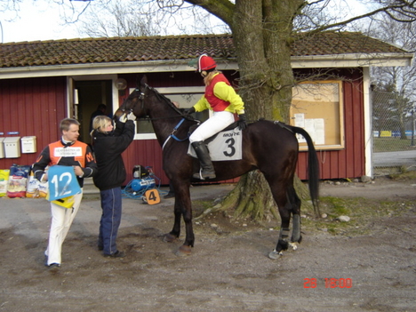 Bild 033