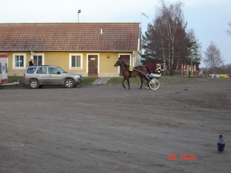 Bild 035