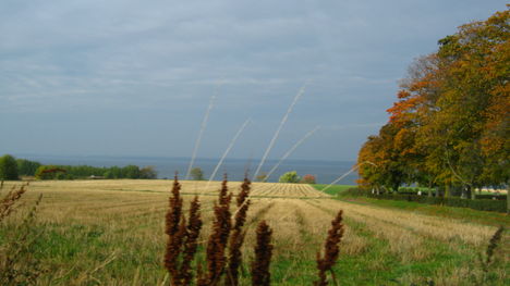 Bild 341