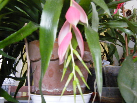 DSCF9644