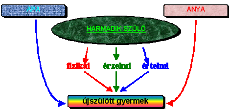 harmadikszulo