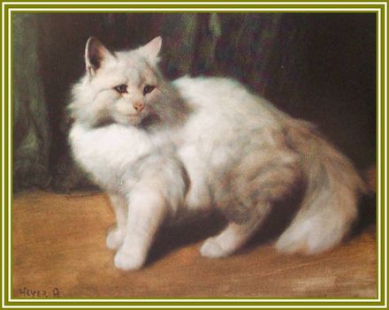 Heyer Artur - Fehér perzsamacska (40x50 cm.)