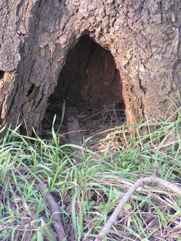 Hole