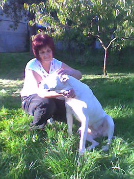 Kép0156