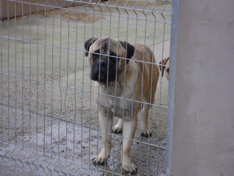 Lennox