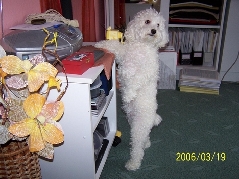 Molly