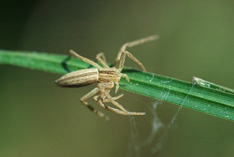 munka közben