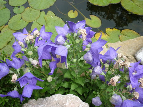P1060036
