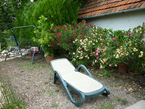 P1060044