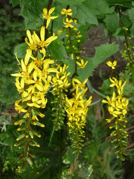 P1060049