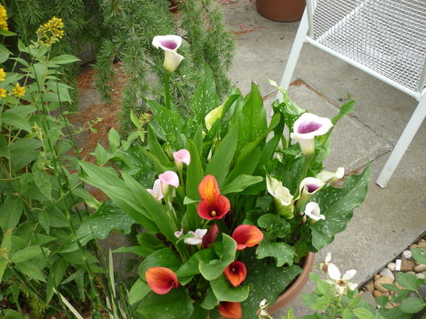 P1060123