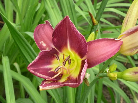 P1060150