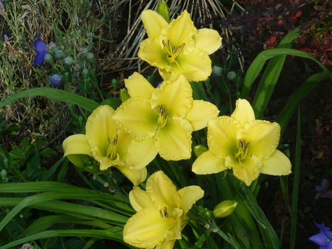 P1060200