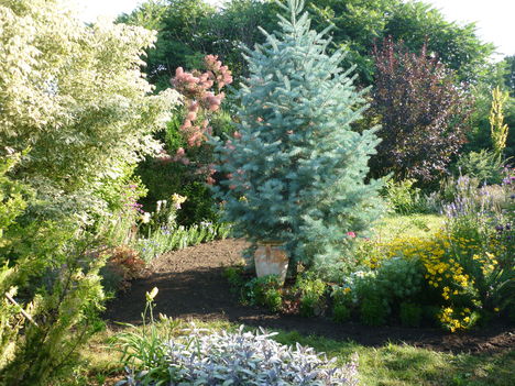 P1060203
