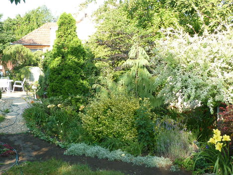 P1060206