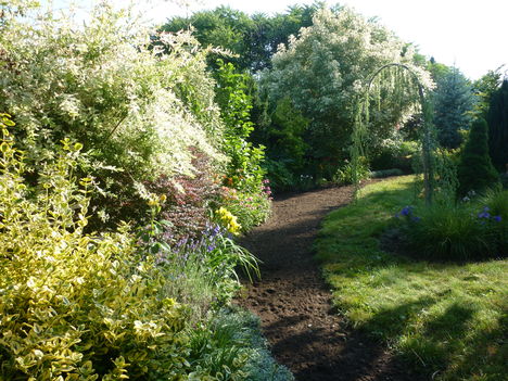 P1060228