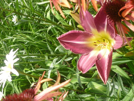 P1060288