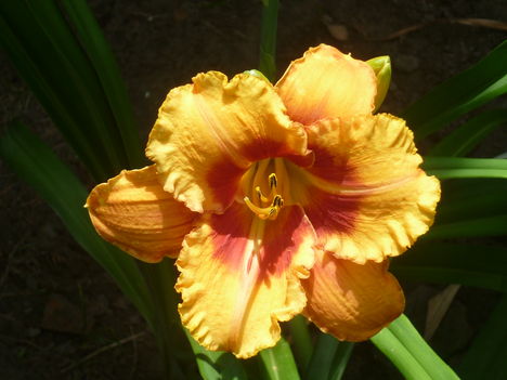P1060322