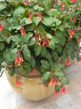 P1060330