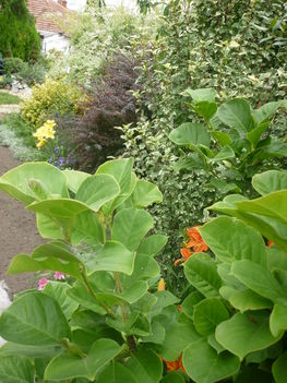 P1060355
