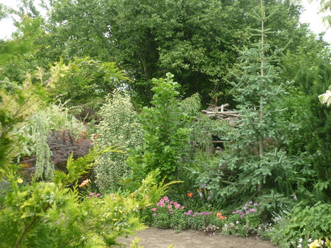 P1060384