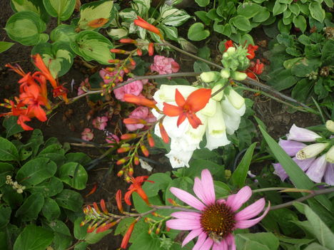 P1060397