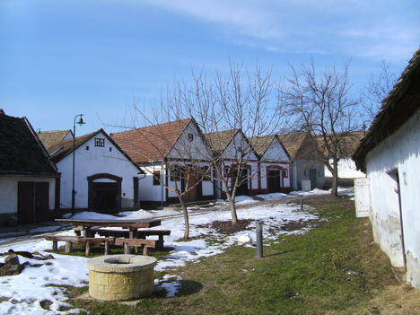 Paksi pincesor