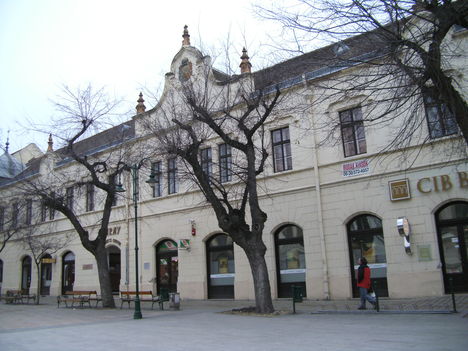 Szekszárd télen 2011-02-03 (12)