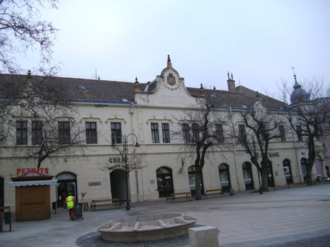 Szekszárd télen 2011-02-03 (15)