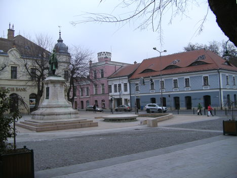 Szekszárd télen 2011-02-03 (16)