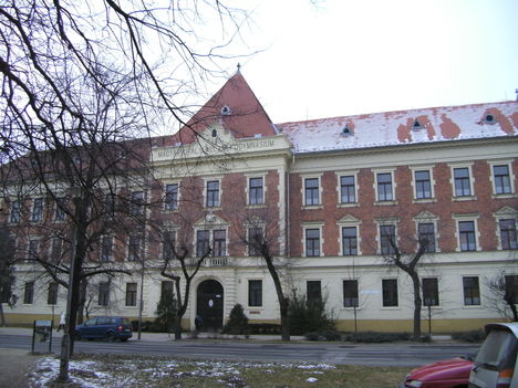 Szekszárd télen 2011-02-03 (19)