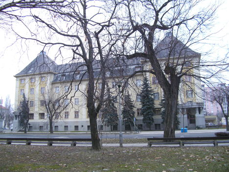 Szekszárd télen 2011-02-03 (20)