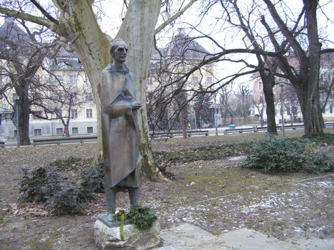 Szekszárd télen 2011-02-03 (21)