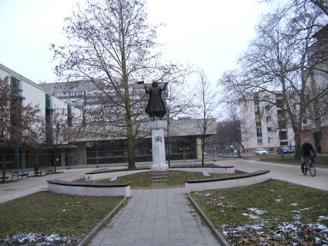 Szekszárd télen 2011-02-03 (22)