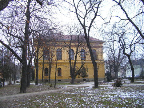 Szekszárd télen 2011-02-03 (29)
