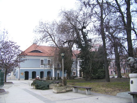 Szekszárd télen 2011-02-03 (2)