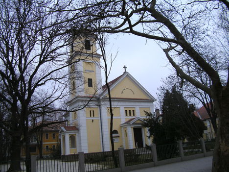 Szekszárd télen 2011-02-03 (37)