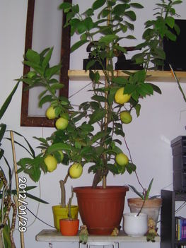 BILD0403