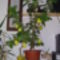 BILD0403