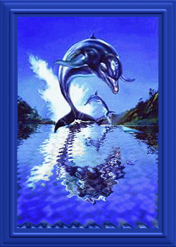 delfin