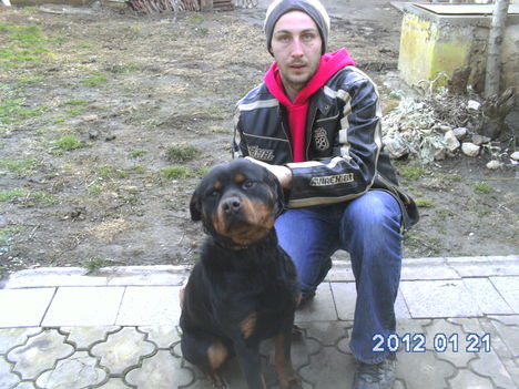 kölykök.... 2
