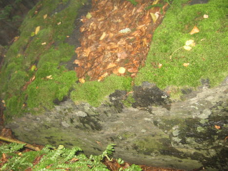 megalit simára csiszolt oldala